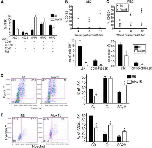 Figure 4. 12/15-LOX regulates proliferation and function of LT-HSC. (A) Flow cytometric analysis of phenotypic subsets demonstrated depletion of the most primitive HSC phenotype and a concomitant increase in a more mature MPP phenotype in Alox15 compared with B6 LSK (n = 5). (B-C) 12/15-LOX regulates the function of LT-HSC. Lethally irradiated congenic mice were reconstituted with 500 CD34−Flt3−LSK (B) or 500 CD150+CD48−LSK (C) from B6 or Alox15 BM mixed with 2 × 105 competitor cells. (Top) Reconstitution was analyzed by flow cytometry of CD45.2+ of total CD45+ WBCs. (Bottom) Analysis at 12 weeks after BM transfer for CD45.2+ LSK and CD34−Flt3−LSK (B) or CD150+CD48−LSK (C) by flow cytometric analysis of n = 8 in 2 independent experiments. (D-E) Increased proliferation of Alox15 compared with B6 determined by flow cytometric analysis by incorporation of Hoechst 33342 and PyroninY into DNA and RNA, respectively, of cells in the total LSK population (D) and CD34−LSK–gated population (E). Shown are a representative flow cytometric analysis and a summary of 4 independent experiments; *P < .05, **P < .01. All error bars represent the average (± SEM).
