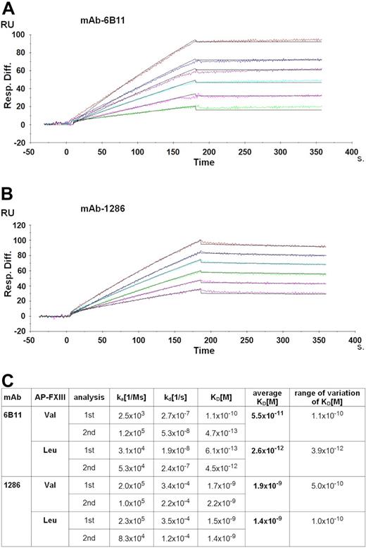 Figure 3. Binding affinity of anti-AP-FXIII monoclonal antibodies as measured by SPR. Sensorgrams of time (seconds) versus RUs are shown. (A) Binding of AP-FXIII-Val to mAb-6B11. The curves represent the association and dissociation rates of AP-FXIII-Val at the following concentrations: 2.5 (green), 5 (pink), 7.5 (cyan), 10 (magenta), 12 (dark blue), and 16nM (brown). (B) Binding of AP-FXIII-Val to mAb-1286 measured at the following concentrations: 5 (magenta), 7.5 (pink), 10 (green), 12.5 (cyan), 15 (dark blue), and 17.5nM brown). (C) Binding affinity data for mAb-6B11 and mAb-1286 and both AP-FXIII genotypes. The association rate constant ka, the dissociation rate constant kd and the equilibrium dissociation constant KD = kd/ka of 2 independent analyses (1st and 2nd) are shown, together with the average KD and range of variation.