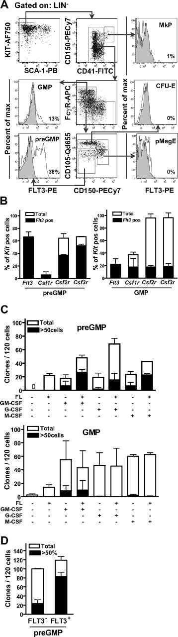 Figure 2. PreGMPs express functionally relevant levels of FLT3. (A) Representative FACS profiles showing FLT3 expression on different myeloid progenitors. Lineage-negative cells were first gated as Kit+Sca-1− cells as indicated. Further gating strategies are indicated with arrows. Histograms show FLT3 expression within indicated populations; preGMPs (Lin−Kit+Sca-1−CD41−CD150−FcγR−CD105low), GMPs (Lin−Kit+Sca-1−CD41−CD150−FcγR+), MkP (Lin−Kit+Sca-1−CD41+), pMegE (Lin−Kit+Sca-1−CD41−CD150+FcγR−CD105low), and CFU-E (Lin−Kit+Sca-1−CD41−CD150−FcγR−CD105high). Gray areas indicate isotype control. Percentages in panels represent percentages of FLT3-positive cells in the investigated cell populations, and represent mean values from 8 experiments with pooled mice at 8 to 12 weeks of age. (B) Single-cell RT-PCR analysis of transcriptional expression of Flt3, Csf1r (M-csfr), Csf2r (Gm-csfr), and Csf3r (G-csfr) in preGMPs and GMPs, respectively. Only cells expressing Kit were analyzed further (> 93% of cells analyzed). ■ indicate percentage of cells coexpressing Flt3. Data are means (SD) from 2 experiments, in which 88 cells were analyzed per experiment. (C) Single preGMP and GMP cells were sorted directly into media with indicated cytokines. Clones were scored after 7 to 8 days. Data represent mean (SD) number of clones from 2 to 3 experiments, with 120 cells analyzed per experiment. (D) Single preGMP FLT3-positive and -negative cells were sorted directly into media with GM-promoting cytokines (see “Clonogenic myeloid progenitor assays”). Clones were scored after 7 to 8 days. Data represents mean (SD) number of clones from 3 experiments with 60 to 120 cells analyzed per experiment.
