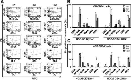 Figure 1. Human STRC-M and STRC-ML efficiently engraft in IL2RG−/− mice. (A) Representative fluorescence-activated cell sorter profiles of human hematopoietic lineages in BM of IL2RG−/− mouse at 3, 8, and 12 weeks after transplantation of 2 × 105 CD34+ cells. Percentages in fluorescence-activated cell sorter plots refer to lineage marker-positive cells of 2 × 104 total BM cells analyzed. (B) Human CD34+ CB cells show similar multilineage differentiation patterns in the BM of IL2RG−/− mice (n = 10) and B2m−/− mice (n = 10) 3, 8, and 12 weeks after transplantation. (C) In IL2RG−/− mice (n = 12), a larger proportion of CD34+ and GlycA+ cells were detected at 3 weeks and CD33+ cells at 8 weeks after transplantation of human mPB CD34+ cells compared with B2m−/− mice (n = 6). GlycA indicates glycophorin-A; w, weeks; PE, phycoerythrin; and FITC, fluorescein isothiocyanate. Error bars represent SD. *Significant difference (P < .05).