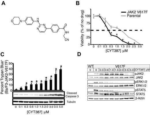 Figure 1. Efficacy of CYT387 against JAK2-dependent cell lines in vitro. (A) Chemical structure of CYT387. (B) Ba/F3-EpoR parental (cultured in media supplemented with 3 U/mL erythropoietin) or Ba/F3-EpoR-JAK2V617F cells (cultured in the absence of exogenous cytokines) were plated in 96-well plates over a dose gradient of CYT387 for 3 days at which point cell viability was measured with an MTS tetrazolium salt assay. Values represent mean ± SEM. n = 3; *P < .05. (C) Baf3-EpoR-JAK2V617F cells were plated in graded concentrations of CYT387 for 1 day (immunoblot) or 2 days (trypan blue exclusion) at which point cell death was measured by trypan blue exclusion and apoptosis was determined by immunoblot with antibodies specific for cleaved caspase 3 and tubulin. Values represent mean ± SEM. n = 3; *P < .05. (D) Ba/F3-EpoR-JAK2WT or Ba/F3-EpoR-JAK2V617F cells were serum-starved then plated in 6-well plates over a dose gradient of CYT387 for 16 hours at which point cells were lysed and whole-cell extracts were subjected to immunoblot analysis using antibodies specific for total or phospho-JAK2, total or phospho-ERK1/2, total or phospho-STAT5, or β-actin.