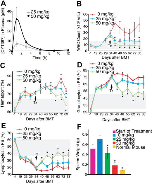 Figure 2. Efficacy of CYT387 against JAK2-dependent malignancy in vivo. (A) Balb/c mice were administered CYT387 by oral gavage and pharmacokinetics were measured by analysis of plasma concentrations at indicated time points. Values represent mean ± SEM. (n = 3) (B) Balb/c mice were subjected to bone marrow transplantation with bone marrow donor cells retrovirally transduced to express JAK2V617F. Thirty-four days after transplantation, mice exhibited symptoms of MPN as measured by elevated white blood cell counts and hematocrit. Mice were divided into 3 groups and initiated on twice daily oral gavage administration of vehicle control, 25 mg/kg CYT387, or 50 mg/kg CYT387 (n = 12 per group). White blood cell (WBC) count of mice was monitored weekly for 83 days after bone marrow transplantation. (C) Mice were treated as in panel B and hematocrit levels (HCT) of mice were monitored weekly for 83 days after bone marrow transplantation. (D) Mice were treated as in panel B and the percentage of granulocytes in the peripheral blood of mice was monitored weekly for 83 days after bone marrow transplantation. (E) Mice were treated as in panel B and percentage of lymphocytes in the peripheral blood of mice was monitored weekly for 83 days after bone marrow transplantation. (F) Mice were treated as in panel B and the spleen weight of 3 mice was measured at the start of treatment and the spleen weight of all mice was measured at the end of treatment. For comparison purposes, spleen weight from normal mice is included. For panels B through F, values represent mean ± SEM, *P < .05 in a t test comparing 25 mg/kg or 50 mg/kg treatment groups with the 0 mg/kg vehicle control. The gray box indicates the normal range in mice. The arrow indicates initiation of CYT387 treatment.