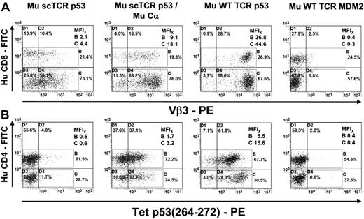 Figure 1. Expression of a CD8-independent p53(264-272)A2.1-specific scTCR in Hu T lymphocytes compared with WT TCR-transduced T cells. (A) TCR p53 or MDM2-transduced human T cells (Mu scTCR p53, Mu scTCR p53/Mu Cα, Mu WT TCR p53, Mu WT TCR MDM2) were tested by flow cytometry for expression of Hu CD4 and the Mu subfamily Vβ3 of the p53-specific TCR. MFIs of TCR expression were given for CD4+/CD8+ T cells. (B) MFIs of p53(264-272)A2.1 tetramer–labeled p53- or MDM2-specific scTCR (Mu scTCR p53, Mu scTCR p53/Mu Cα) and dcTCR (Mu WT TCR p53 or MDM2) transduced Hu CD8+ and CD4+ T lymphocytes.