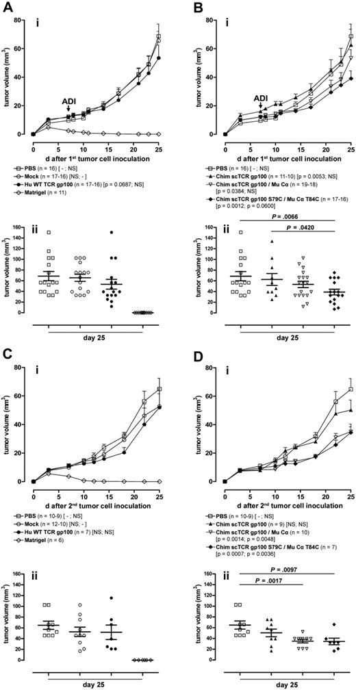 Figure 7. Growth regression of melanoma in NOD/SCID mice treated with TCR gp100-transduced T cells after primary and secondary tumor challenges. (A-B) NOD/SCID mice were engrafted with the MeWo melanoma cell line intradermally (2.5 × 106 cells in 50 μL of matrigel) at the right flank (first tumor cell inoculation, day 0) and adoptively transferred intravenously with T cells transduced with different TCR gp100 constructs (as indicated by symbols) (mean 2.4 × 106 cells in 100 μL of PBS; ADI day 7). (Ai) Effect of ADI on primary tumor outgrowth of animals treated with PBS, Mock, Hu WT TCR gp100, or matrigel. Curves show the cumulative mean and standard error of the mean (SEM) tumor volume of 5 independent experiments (□, ○, ●, ◇). Animals with an intradermal injection of matrigel (50 μL) without tumor cells and animals adoptively transferred intravenously with 100 μL of PBS without T cells were used as controls. P values in brackets indicate the statistical significance of differences in tumor progression over time with the use of a linear regression model with mixed effects (fixed and random) against PBS, Mock. (Bi) Effect of ADI on primary tumor outgrowth of animal treated with PBS, Chim scTCR gp100, Chim scTCR gp100/Mu Cα, and Chim scTCR gp100 S79C/Mu Cα T84C. Curves show the cumulative mean and SEM tumor volume of 5 (□, ▿, ♦) or 2 (▴) independent experiments. The tumor volume of individual mice, their mean, and SEM from experimental groups on day 25 after primary tumor challenge is depicted in panels Aii or Bii. (C-D) Primary local tumors from mice treated with a single injection of TCR gp100-transduced T cells (from A-B) were safely removed after day 25 from the right flank, and 2 days later a secondary tumor inoculation (reset to day 0) with MeWo cell line (2.5 × 106 cells in 50 μL of matrigel) was performed intradermally at the left flank of the same animals. (Ci) Effect of a long-term T-cell response of animal treated with PBS, Mock, Hu WT TCR gp100, or matrigel. Curves show the cumulative mean and SEM tumor volume of 3 (□,○, ◇) or 2 (●) independent experiments. (Di) Effect of a long-term T-cell response of animals treated with PBS, Chim scTCR gp100, Chim scTCR gp100/Mu Cα, and Chim scTCR gp100 S79C/Mu Cα T84C. Curves show the cumulative mean and SEM tumor volume of 3 (□) or 2 (▴, ▿, ♦) independent experiments. The tumor volume of individual mice, their mean, and SEM from experimental groups on day 25 after secondary tumor challenge is given in panels Cii or Dii.