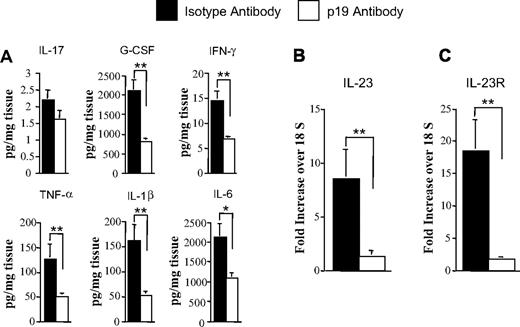 Figure 3. Antibody blockade of IL-23 attenuates proinflammatory cytokine production and decreases gene expression of IL-23 and IL-23R in the colon microenvironment. (A) Lethally irradiated Balb/c mice were transplanted with B6 BM plus spleen cells adjusted to yield 0.225 to 0.4 × 106 T cells. Cohorts of mice were then treated with either isotype control (n = 11) or p19 antibody (n = 15) once weekly. Mice were killed 32 to 35 days after transplantation, and colon explant tissue was assayed for levels of proinflammatory cytokines by multiplex. Data are derived from cumulative results from 3 experiments and are the mean amount of cytokine divided by the weight of cultured colon tissue ± SEM. (B-C) RNA was extracted from colon tissues obtained from animals transplanted in panel A that were treated with either isotype control or p19 antibody. Gene expression of IL-23 (B) or IL-23R (C) mRNA levels was analyzed by real-time quantitative PCR as described in “Real-time quantitative PCR.” Data are normalized for 18S ribosomal RNA and presented as fold increase over 18S RNA ± SEM. Data are cumulative results from 3 independent experiments for mice treated with either isotype control or p19 antibody. *P ≤ .05. **P < .01.