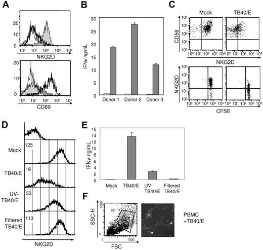 Figure 2. NK-cell activation and infection of PBMCs are associated with HCMV-induced down-regulation of NKG2D expression. (A) PBMCs were cultured with or without TB40/E for 2 days. The expression of surface NKG2D and CD69 in CD56+CD3− NK cells was monitored by flow cytometry. Histograms correspond to the isotype controls (thin lines), mock-treated (gray profiles), and TB40/E-infected samples (bold lines). Results from a representative donor of 4 tested are shown. (B) IFNγ was detected by ELISA in supernatants of mock- and TB40/E-treated PBMCs (72 hours). Data correspond to experiments with samples from 3 representative donors (mean ± SD). Empty and gray bars correspond to mock- and HCMV-treated cultures, respectively. (C) Cell proliferation, assessed by the carboxyfluorescein succinimidyl ester (CFSE) dilution assay, and surface NKG2D expression on CD56+CD3− cells from PBMCs cultured for 72 hours with TB40/E. Results from one donor of 3 tested are shown. (D) PBMCs were cultured alone and in the presence of either TB40/E, UV-TB40/E, or filtered TB40/E. NKG2D surface expression was assessed at 72 hours by 3-color flow cytometric analysis with CD3, CD56, and NKG2D (BAT221) specific mAbs. Histograms showing NKG2D surface expression on CD56+CD3− cells correspond to samples from a representative donor of 4 studied. Geometric mean values for relative fluorescence intensity are included. (E) IFNγ was measured by ELISA in supernatants harvested at 72 hours from samples studied in panel D. (F) PBMCs cocultured with TB40/E included in the R1 gate, containing mainly myelomonocytic cells (not shown), were sorted, and cytospin preparations were labeled by indirect immunofluorescence with an anti–IE1/IE-2 mAb; nuclei were counterstained with DAPI (4′-6′-diamidine-2-phenylindole). Image acquisition information: 40×/0.75 HCX FLUOTAR; Dako fluorescence mounting medium; see also “HCMV preparation and infection of PBMCs.”