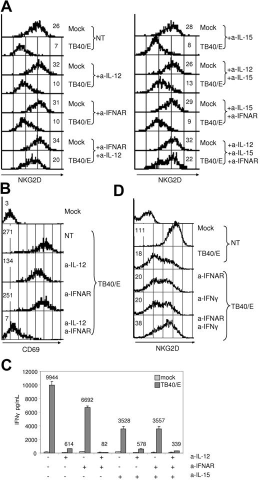 Figure 4. Effect of neutralizing HCMV-induced IL-12 and IFNAR on NKG2D expression and NK-cell activation. PBMCs were incubated alone or with TB40/E in the presence or absence of antagonizing antibodies for IL-12, IL-15, and IFNAR. NKG2D (A) and CD69 (B) expression on CD56+CD3− cells was monitored at 72 hours by flow cytometry. (C) IFNγ secretion measured by ELISA in supernatants from cultures described in Figure 5A (mean ± SD). Results are representative of data obtained in at least 3 different donors. (D) PBMCs were incubated alone or with TB40/E in the presence or absence of antagonizing antibodies for IFNγ and IFNAR. NKG2D expression on CD56+CD3− cells was monitored at 72 hours by flow cytometry. Representative data of 1 of 2 donors tested are shown. Geometric mean values of mean fluorescence intensity are indicated in all histograms.