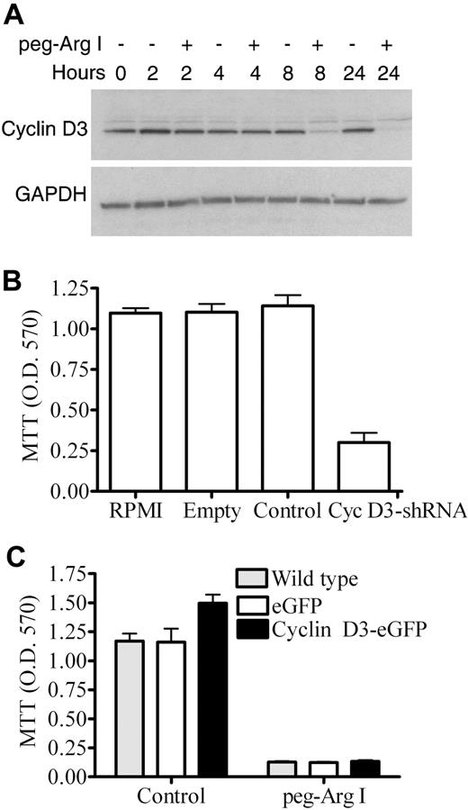 Figure 2. Peg-Arg I impairs cyclin D3 expression in T-ALL cells. (A) Cyclin D3 expression was determined by Western blot in CCRF-CEM cells cultured with or without peg-Arg I. (B) CCRF-CEM cells (1 × 105) previously transfected with shRNA-coding plasmids against nonrelevant sequences (Control) or cyclin D3 (Cyc D3-shRNA), or transfected with empty plasmids (Empty) were cultured for 72 hours and proliferation tested by MTT. (C) CCRF-CEM cells over-expressing cyclin D3 (Cyclin D3-eGFP), expressing eGFP, or wild-type cells were cultured for 72 hours in RPMI medium (Control) or medium containing peg-Arg I (2 IU/mL), after which proliferation was tested by MTT. Experiments were repeated at least 3 times obtaining similar results.