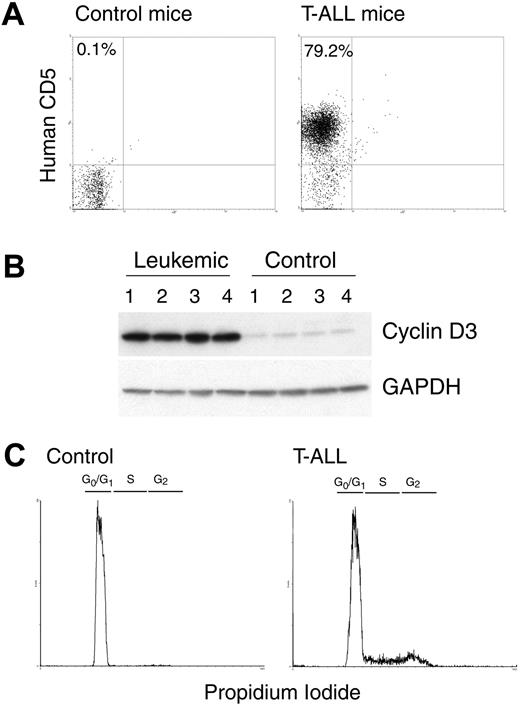 Figure 5. NOD-Scid injected with CCRF-CEM cells develop T-ALL. (A) A representative experiment showing that CCRF-CEM–bearing NOD-Scid mice have an increased accumulation of human CD5+ cells in the spleens after 30 days of tumor injection. (B-C) Spleens from panel A were tested for the expression cyclin D3 and GAPDH by Western blot and for the cell-cycle progression using propidium iodide. The experiments were repeated a minimum of 3 times obtaining similar results.