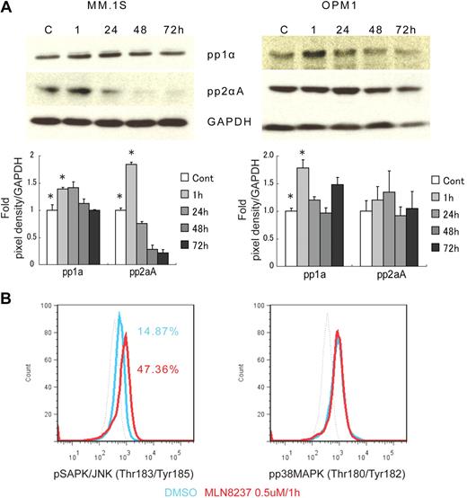 Figure 4. Molecular changes induced by MLN8237 in cell cycle–regulatory and antitumor pathways. Molecular changes induced by MLN8237 in cell cycle–regulatory and antitumor pathways were analyzed in MM cell lines. MM cell lines were cultured in the absence or presence of DMSO or MLN8237 (0.5-1μM) for various times. Protein level changes were determined by either Western blotting or flow cytometry. (A) Relative expression of negative cell cycle–regulatory molecules PP1α and PP2αA in MM cell lines treated with MLN8237 (0.5μM) for the indicated times. Pixel density of each protein band was measured using ImageJ software (1.37v; National Institutes of Health, http://rsb.info.nih.gov/ij/) and normalized with GAPDH expression. Fold expression per control for each band is shown. *Statistical significance (t test, one-tailed distribution, P < .05; n = 3 independent experiments). (B) Intracytoplasmic expression of phospho(Thr183/Tyr185) SAPK/JNK and phospho(Thr180/Tyr182) MAPK in MM1.S cells after 1-hour exposure to DMSO or MLN8237 (0.5μM). Dotted line indicates isotypic control; blue line, DMSO; and red line, MLN8237 (0.5μM for 1 hour). (C) Molecular changes induced by MLN8237 in p53 pathway were determined by Western blotting in MM cell lines. MLN8237 induced expression of p53, p27, and p21 in MM cell lines. MM cell line OPM1 does not express p21. GAPDH was used as a control to determine total protein expression. (D) Intracytoplasmic expression of cell-cycle checkpoint molecules phospho(Tyr15) Cdc2, phospho(Ser345) Chk1, and phospho(Thr68) Chk2 were analyzed in MM1.S cells after 1-hour exposure to DMSO or MLN8237 (0.5μM). Dotted line indicates isotypic control; blue line, DMSO; and red line, MLN8237 (0.5μM for 1 hour). (E) Molecular changes induced by MLN8237 in α-tubulin activation and formation were analyzed by Western blotting in MM cell lines. MLN8237 induced expression of α-tubulin in MM cell lines at early exposure time, whereas there was decreased expression of α-tubulin after 24 hours of MLN8237 treatment. GAPDH was used as a control to determine total protein expression.