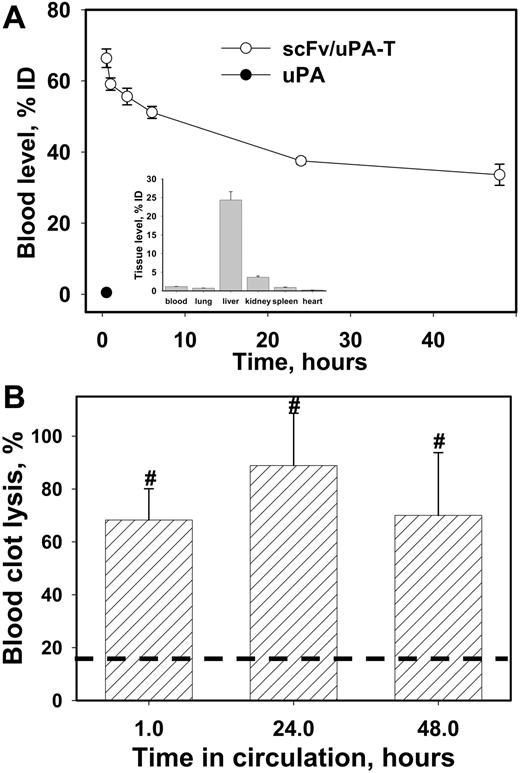Figure 4. Pharmacokinetics and fibrinolytic activity of scFv/uPA-T fusion protein and soluble uPA in mice. (A) Blood clearance of 125I-scFv/uPA-T after intravenous injection. Inset: Distribution of 125I-uPA 1 hour after injection. (B) Spontaneous lysis of clots formed from blood obtained after intravenous injection of scFv/uPA-T (4 mg/kg, 0.95μM initial concentration in blood, ▨) or PBS (- - -). N = 4 per group; P < .05 versus saline injected control.