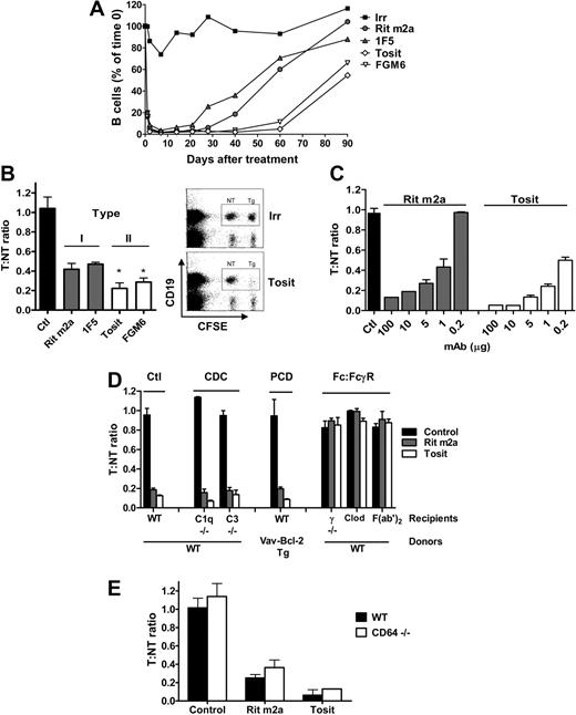 Figure 1. Type II anti-CD20 mAbs depleted B cells more effectively than type I mAbs via a complement and apoptosis-independent mechanism that requires Fc/FcR engagement. (A) Systemic depletion: hCD20 Tg mice (BALB/c background) received 250 μg anti-CD20 mAb or isotype matched control intravenously on day 0 and the number of circulating B cells assessed. Points indicate means; n ≥ 4 mice for each time point from 2 to 4 independent experiments. (B) Adoptive transfer: hCD20 Tg target (T) or WT nontarget (NT) BALB/c splenocytes labeled with high or low CFSE, respectively, were injected intravenously into BALB/c mice. Twenty-four hours later, mice received mAbs (1 μg, intravenously); and 16 hours later spleens analyzed to determine the T/NT ratio. Left panel: bars represent mean ± SD; n = 3 to 5 mice for each treatment group. *Both type II mAbs significantly differ from both type I mAb: Rit m2a versus FGM6 (P < .02); Rit m2a versus Tosit P < .002; 1F5 versus FGM6 and 1F5 versus Tosit (P < .005). Right panel: Typical dot-plot data. (C) Dose-response to Rit m2a and tositumomab (Tosit) in a similar adoptive transfer: bars represent mean and range; n = 2 mice at each concentration. (D) Contribution of effector mechanisms: Ctl, transfer of T and NT into WT recipients as in panel B; CDC, NT, and T cells transferred into complement-deficient (C1q−/− and C3−/−) mice; programmed cell death, hCD20 Tg and hCD20 × Vav-Bcl-2 double Tg (both T), and WT (NT) labeled with high CFSE, low CFSE, and PKH26, respectively, transferred into WT mice and the level of both T compared with the NT; Fc/FcγR, T, and NT cells transferred into γ−/− or clodronate-treated (Clod) WT mice; also shown is the activity of F(ab′)2 fragments in WT recipients. Bars represent mean ± SD; n = 3 mice for each treatment group. Each condition is representative of at least 2 independent experiments. (E) Poor type I depletion is not the result of shaving: Transfer of T and NT cells into WT and CD64−/− mice as in panel B with Ctl, Rit m2a, or Tosit mAb. Bars represent mean and range; n = 2 mice for each treatment group; representative of at least 2 independent experiments.