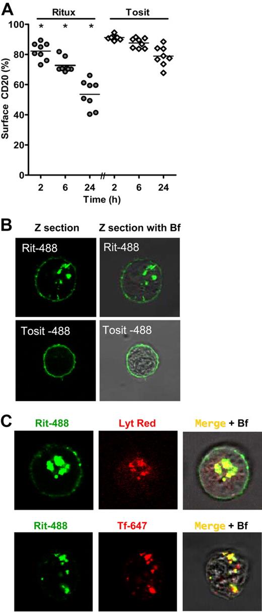 Figure 5. Type I mAbs internalize in human cell lines and traffic to the lysosome. (A) A selection of NHL cell lines (Raji, Daudi, SU-DHL-4, DOHH2, Ramos, Granta-519, RL, and HBL-1) was treated with rituximab–Alexa 488 (Ritux-488) or Tosit-488 (5 μg/mL) for 2, 6, or 24 hours and then assessed for internalization as before. *At each time point, the level of surface-accessible CD20 with Ritux-488 was significantly lower than with Tosit-488: P < .001 at each time point. (B) Appearance of Raji B cells treated with Ritux-488 or Tosit-488 (5 μg/mL) for 24 hours in vitro and assessed by confocal microscopy using an HCX PL APO CS 100×/1.4 lens with 1× optical zoom (Rit-488) and 1.5× optical zoom (Tosit-488) with a Z section through the center of the cell and overlaid versus the bright field (Bf). (C) Colocalization of Ritux-488 with transferrin-647 or Lysostracker on Raji cells.