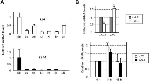 Figure 1. LYL1 is expressed in both angiogenic and quiescent adult endothelial cells. (A) Analysis of Lyl1 and Tal-1 mRNA in mouse adult tissues by qRT-PCR. Total RNA was extracted from different tissues derived from 4-week-old C57BL/6 mice (3 animals). cDNAs were amplified in triplicate by specific murine Lyl1 or Tal-1 primers and normalized to beta-Actin; means ± SD are shown. Sp indicates spleen; Lu, lung; Ao, aorta; Li, liver; Ki, kidney; Br, brain; and LN, lymph nodes. mRNA levels in spleen were arbitrarily set at 1. (B top) LYL1 expression in quiescent conditions: confluent HUVECs were maintained in either complete medium containing angiogenic factors (+A. F.) or starved in basal medium supplemented by 5% of FCS (− A. F.) for additional 24 hours. (Bottom) LYL1 expression in angiogenic conditions. Exponentially growing HUVECs were seeded into collagen I matrix and activated by the addition of PMA, VEGF, and bFGF. Total RNAs were extracted at the indicated time points. LYL1 and TAL-1 mRNA levels were assessed by qRT-PCR. cDNAs were amplified in triplicate by specific human LYL1 or TAL-1 primers and normalized to GAPDH. Each bar is the mean ± SD of mRNA levels relative to proliferating cells (set at 1) from 3 independent experiments performed in triplicate. **P < .01