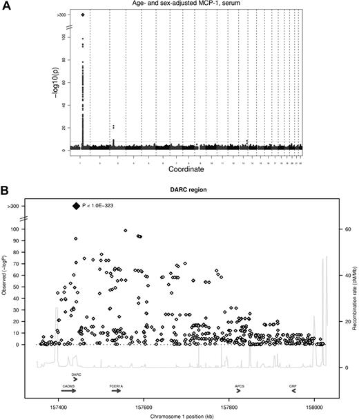 Figure 1. GWA study of serum MCP-1. (A) Signal-intensity plot showing the age- and sex-adjusted association of SNPs across all autosomes with MCP-1 in the GWA analysis. The coordinate provides the number of the chromosome. Lines indicate P value thresholds for P = 5 * 10−8. (B) Regional plots of associations with lowest P value for the DARC gene. Based on HapMapCEU, NCBI Build 36. The color coding represents r2 with lead SNP (rs12075), white indicates r2 < 0.01; gray, 0.01 ≤ r2 < 0.1; yellow, 0.1 ≤ r2 < 0.2; orange, 0.2 ≤ r2 < 0.5. Signal intensity for multivariable-adjusted serum concentrations and results for plasma are presented in supplemental Figure 2.