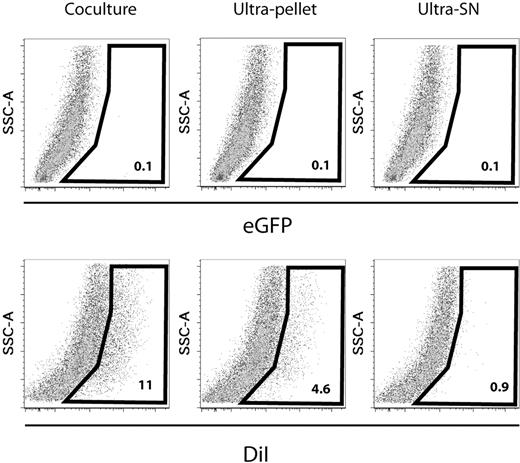Figure 5. Microenvironment contamination is mediated by direct cell-cell interactions and diffusible particles but not free dye molecules. HL60 cells were stained using 4μM DiI for 10 minutes in PBS without FCS at 37°C, washed, and plated in standard liquid culture conditions. As a control, eGFP-bright cells were treated in identical conditions without staining. Before and after culture, cell viability was higher than 90% (not shown). After 24-hour culture, cells were centrifuged (300g for 7 minutes at 4°C). The upper third part of the supernatant was harvested for ultracentrifugation (compare below); the remaining one was discarded. Cells were washed and 100 000 cells from each condition were plated on a confluent layer of HUVECs in a well of a 24-well plate. The supernatant from the first centrifugation step was further ultracentrifuged (61 600g for 2 hours 30 minutes at 4°C). The resulting supernatant (ultra-SN) and pellet (ultrapellet) were harvested separately. We determined the amount of ultra-SN and ultrapellet that would be equivalent to the number of cells plated on HUVECs and added this amount into separate confluent HUVEC wells. After 24 hours of culture, hematopoietic and stromal cells were recovered and analyzed by FACS after staining with anti–human CD45-APC and anti–human CD33-APC monoclonal antibody. DiI contamination of stromal cells (CD45−) after direct coculture or after exposure to similar amounts of ultrapellet or ultra-SN is displayed. No eGFP signal was found associated with stromal cells, whatever the condition (upper line). These data are representative of 2 experiments, which also included DiR.