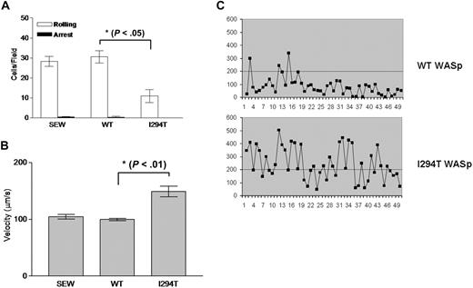 Figure 5. Defective L-selectin–dependent adhesion of WASpI294T cells under flow conditions. 300.19 pre-B cells expressing either EGFP (SEW), WASpWT, or WASpI294T were perfused over immobilized sLex in flow chambers. Conditions were optimized for cell rolling (2.5 dyne/cm2). (A) Dramatic reduction in the number of cells rolling per field of view in cells expressing WASpI294T compared with WASpWT or EGFP-expressing cells (SEW). (B) Average rolling velocity was significantly increased in cells expressing WASpI294T. All error bars represent SD. (C) Compared with WASpWT cells, WASpI294 cells demonstrated a jerky rolling behavior characterized by an increase in velocity fluctuation over time. These profiles are comparable with the data presented in Figure 2C. Rolling assays in panels A and B were compiled from 3 independent experiments. The superimposed line represents a velocity of 200 μm/second, which is the velocity threshold above which cells are normally considered to be in free flow.