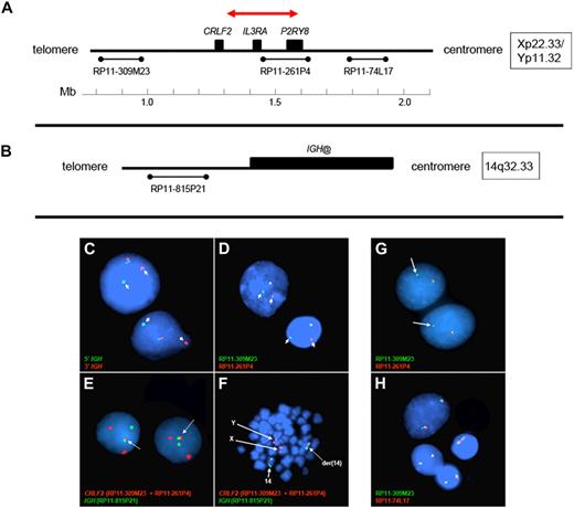 Figure 2. Design of FISH assays to detect genomic CRLF2 rearrangements. (A-B) The 3 BAC clones flanking the CRLF2 locus and 1 centromeric to IGH@ on chromosome 14, respectively. The red arrow in panel A highlights the PAR1 region involved in the deletions that join P2RY8 to CRLF2. The colors and names of the BAC probes used to perform FISH in panels C to H are shown in the lower left of each panel. (C-D) Results from the IGH and the CRLF2 break-apart assays, respectively. Arrows indicate the split signals. (E-F) The IGH-CRLF2 fusion probes on interphase and metaphase cells, respectively. Arrows in panel E highlight the fusion signal, whereas arrows in panel F indicate normal signals from X, Y, and 14 as well as the fusion signal on der14. (G) The loss of 261P4 in 1 sample resulting from PAR1 deletion. (H) The same sample shows that the signal is regained when a more centromeric BAC (74L17) is used, and 2 normal fusion signals are seen. Areas of cellular debris and nuclei lacking red/green signals in the same focal plane as the other cells were masked during image capture.