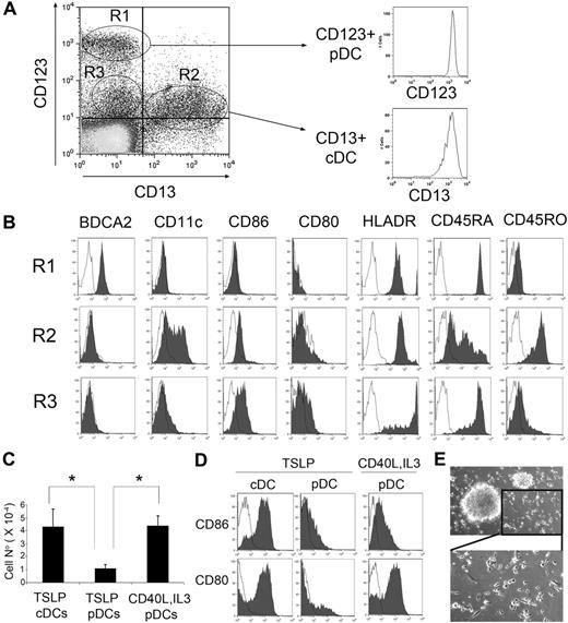 Figure 1. pDCs and cDCs from human thymus mature in response to different stimuli. (A) CD123 versus CD13 flow cytometry analysis of thymocyte suspensions depleted of T cells and monocytes/macrophages shows the presence of CD123+CD13− (R1), CD123loCD13+ (R2), and CD123loCD13− (R3) cells (left histogram). Isotyped-matched control Abs were used to define background staining. Isolation of pDCs and cDCs was performed by magnetic sorting based on reciprocal CD123 and CD13 expression. Postsorting phenotype of one of 10 experiments is shown (right histogram). (B) Flow cytometry analysis of BDCA2, CD11c, CD86, CD80, HLADR, CD45RA, and CD45RO expression in the populations electronically gated as defined in panel A (shaded histograms). Background staining was defined with isotype-matched Abs (empty histograms). Results of 1 of 4 experiments are shown. (C) Cell recoveries of either pDCs cultured for 24 hours with TSLP or with CD40L plus IL-3 or cDCs cultured with TSLP. Absolute DC numbers were normalized to 105 input cells. Data (mean ± SD) correspond to 3 independent experiments. *P < .05. (D) pDCs do not mature in response to TSLP but mature in the presence of CD40L plus IL-3. Flow cytometry analysis of CD80 and CD86 expression (shaded histograms) of pDCs and cDCs cultured as described in panel C. (E) Bright-field microscopy of thymic pDCs cultured with CD40L plus IL-3 for 24 hours (top, original magnification ×40), showing an amplification of the lower right inset (bottom).