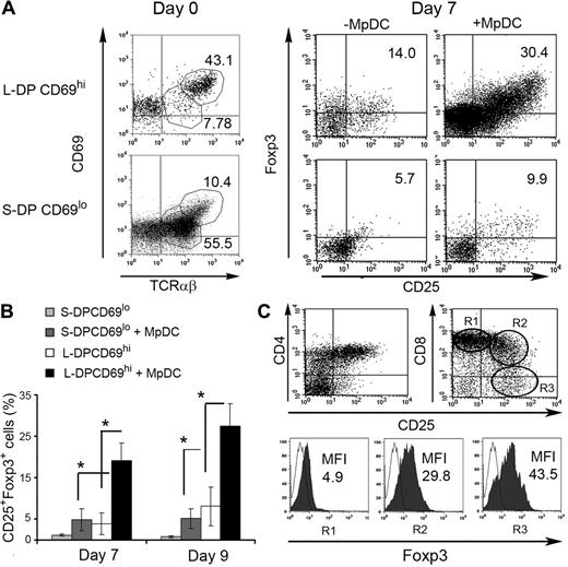 Figure 3. MpDCs induce the generation of CD25+Foxp3+ natural Tregs from positively selected CD69hiTCR-αβhi DP autologous thymocytes. (A) CD69 versus TCR-αβ phenotype of primary large-sized DP thymocytes enriched in CD69hi cells by magnetic sorting (L-DP CD69hi) and unselected small-sized DP thymocytes mostly composing CD69lo cells (S-DP CD69lo) (left histograms, day 0). Numbers indicate percentages of gated cells. Flow cytometric analysis of Foxp3 versus CD25 expression on L-DP CD69hi and S-DP CD69lo thymocytes cultured onto OP9 stromal cells with rhIL-2 plus rhIL-7 for 7 days either in the presence or absence of autologous MpDCs is shown on the right (day 7). Numbers in quadrants indicate percentages of CD25+Foxp3+ cells. Results are representative of 1 of 3 independent experiments. (B) Relative numbers of CD25+Foxp3+ nTregs generated from L-DP CD69hi and S-DP CD69lo thymocytes cultured as in panel A. Data are mean ± SEM (n = 3). *P < .05. (C) Flow cytometric analysis of CD4 (left) or CD8 (right) versus CD25 expression on L-DP CD69hi thymocytes cultured as in panel A (top panels). Foxp3 expression on electronically gated CD8hiCD25− (R1), CD8intCD25+ (R2), and CD8−CD25+ (R3) populations is shown (bottom panels). Numbers indicate MFI values. Results are representative of 1 of 3 independent experiments.