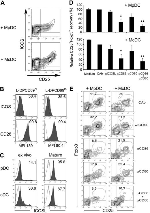 Figure 5. Differentiation of nTregs from L-DP CD69hi thymocytes primed with MpDCs or McDCs involves CD80 and CD86 coreceptors. (A) Flow cytometric analysis of ICOS versus CD25 expression on nTregs derived from L-DP CD69hi thymocytes primed with McDCs or MpDCs as in Figure 4. (B) Flow cytometry analysis of ICOS and CD28 expression on L-DP CD69hi and L-DP CD69lo primary thymocytes. Numbers indicate percentages of positive cells. MFI values of CD28 expression are indicated. (C) ICOSL expression analyzed by flow cytometry on thymic pDCs and cDCs either ex vivo-isolated or after maturation in vitro. Numbers indicate percentages of positive cells. Results of one of 3 experiments are shown. (D-E) Effect of blocking anti-ICOSL, anti-CD80, anti-CD86, or both anti-CD80 and anti-CD86 mAbs in the generation of Tregs from MpDC- or McDC-primed L-DP CD69hi thymocytes. Generation of CD25+Foxp3+ nTregs was analyzed by flow cytometry at day 7. (D) Data are mean ± SEM of relative numbers of CD25+Foxp3+ cells normalized to numbers in control cultures with isotype-matched control antibodies (CAb) (n = 3). *P < .05. **P < .01. (E) Flow cytometry analysis of CD25+Foxp3+ cell generation of 1 representative experiment of 3 in panel D.