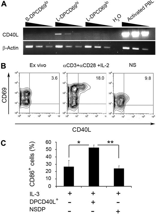 Figure 6. TCR-mediated activation of L-DP CD69hi thymocyte-expressing CD40L transcripts leads to CD40L up-regulation and activation of thymic pDCs. (A) Reverse-transcribed polymerase chain reaction analysis of CD40L mRNA expression was performed using 2-fold serial dilutions of cDNA from primary S-DP CD69lo, L-DP CD69hi, and L-DP CD69lo thymocyte populations isolated from the same thymus sample (top panel). cDNA obtained from phorbol myristate acetate plus ionomycin-stimulated PB CD4+ T lymphocytes was used as a positive control. (B) Flow cytometry analysis of CD69 versus CD40L expression on primary L-DP CD69hi thymocytes before culture (left panel), after activation with anti-CD3 and anti-CD28 mAbs plus IL-2 for 24 hours (middle panel), or after culture in medium alone (right panel). NS indicates nonstimulated. Numbers in quadrants indicate percentages of positive cells. (C) Relative numbers of CD86-expressing pDCs after 24 hours of culture with IL-3 in the absence or presence of L-DP CD69hi thymocytes either stimulated (DPCD40L+) or nonstimulated (NS) as in panel A. Data are mean ± SEM (n = 3). *P < .05. **P < .01.