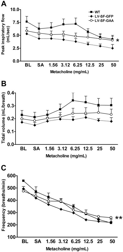 Figure 4. Improved respiratory function in LV-SF-GAA–treated mice. Whole-body plethysmography was performed to determine (A) peak inspiratory flow, (B) tidal volume, and (C) frequency of breathing in 11-month-old mice (WT, n = 5; LV-SF-GFP, n = 3; LV-SF-GAA, n = 6, at 9 months after transplantation). All mice were exposed to increasing doses of nebulized metacholine to test muscular weakness or exhaustion of Gaa−/− mice. The peak inspiratory flow, tidal volume, and frequency of breathing are reduced in animals that received a transplant of LV-SF-GFP compared with WT mice. LV-SF-GAA transplantation improves both parameters relative to LV-SF-GFP (*P < .05, **P < .01). BL indicates baseline; SA, saline.