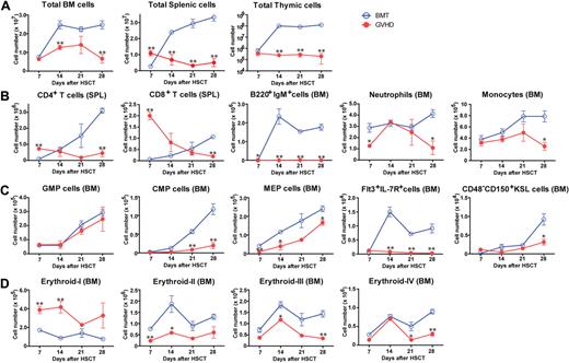 Figure 1. Suppression of hematopoiesis during GVHD. Lethally irradiated BDF1 mice were implanted with B6 TCD BM alone (BMT) or with additional splenic T cells (GVHD). Cell populations were assessed weekly from days 7 to 28 after allo-HSCT. (A) Total cells in BM, spleen, and thymus. (B) Mature lymphoid and myeloid cells in spleen (SPL) and BM. (C) Myeloid and lymphoid progenitor cells and hematopoietic stem cells. GMP indicates granulocyte/macrophage lineage-restricted progenitor; CMP, common myeloid progenitor; MEP, megakaryocyte/erythrocyte lineage–restricted progenitor; and KSL, c-Kit+Sca-1+Lin−. (D) Mature and immature erythropoietic cells. Data are mean ± SE from 1 of 2 to 4 experiments with similar results (n = 3 per group). *P < .05; **P < .01.