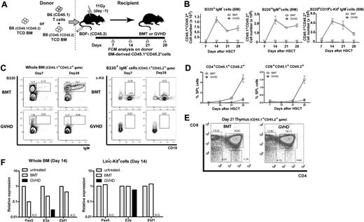 Figure 2. Suppression of B lymphopoiesis during GVHD. (A) Experimental scheme. TCD BM cells from (B6 × B6.SJL) F1 (CD45.1+CD45.2+) mice with or without T cells from B6.SJL (CD45.1+) mice were transplanted to lethally irradiated CD45.2+ BDF1 mice, and CD45.1+CD45.2+ donor BM–derived B and T lymphopoiesis was analyzed. (B-C) Flow cytometric analysis of B lymphopoiesis. (D) Donor BM-derived T lymphopoiesis. Kinetics of the frequency of CD4+ and CD8+ T cells in spleen. (E) Representative flow cytometric analysis of CD45.1+CD45.2+ thymic cells on day 21 after allo-HSCT. Cells were gated on CD45.1+CD45.2+ in each flow cytometric plot. Numbers in the plots represent the frequency of cells in adjacent gates. Data are representative of at least 3 independent experiments. Data are mean ± SE (n = 3 per group) in panels B and D. **P < .01. (F) Real-time RT-PCR on day 14 after allo-HSCT in sorted Lin−c-Kit+ cells or whole BM. In each group, sorted cells from 5-8 mice were pooled and total RNA was isolated. Data are from one of 2 experiments with similar results. ND indicates not detectable.