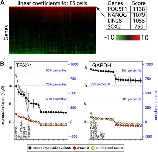 Figure 1. Attributes of the enrichment score. (A) A heatmap representation of LIMMA linear coefficients for ES cells. The heatmap depicts linear coefficients derived from a pairwise comparison of expression values in ES cells and every other cell type/tissue in the panel. For illustration purposes only transcription factors are shown, are sorted vertically by the enrichment score (sum of coefficients in each row). (B) Expression values (black) and their standard deviation (black vertical lines), z-scores (red) and enrichment scores (yellow) for TBX21 and GAPDH. For illustration purposes only the top 10 and bottom 10 expressing tissues are shown. The left y-axis indicates expression values on log2 scale and z-score values. The right blue y-axis indicates enrichment scores. A distribution of enrichment scores was obtained from the highest score for each probe on the array and the percentiles of that distribution are shown in blue dotted lines.