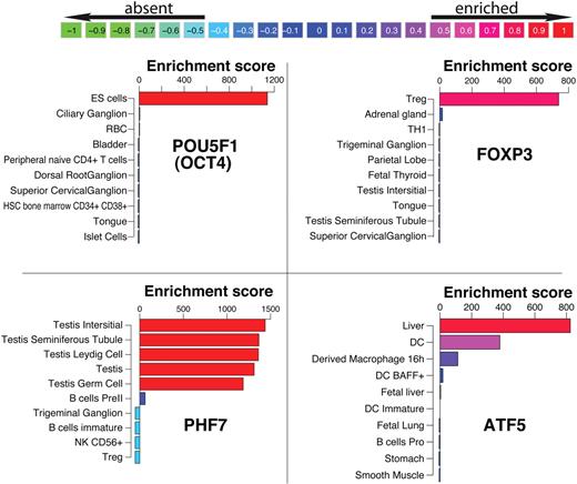 Figure 2. Enrichment profiles of the top 10 tissues for 4 transcription factors. POU5F1, FOXP3, PHF7, and ATF5 are known for their role in embryonic stem cells (ES cells), T regulatory cells, testes, and liver, respectively. Bars are color-coded for the enrichment score relative to the distribution of highest and lowest score per gene. The values in the color scheme on top represent the percentiles of these distributions.
