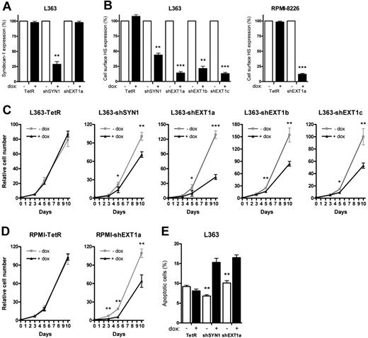 Figure 1. Loss of syndecan-1 and cell-surface HS reduces the in vitro growth of MM resulting from increased apoptosis. L363 and RPMI-8226 MM control cells (TetR) and L363 and RPMI-8226 MM cells containing inducible shRNA, targeting either syndecan-1 (shSYN1) or EXT1 (shEXT1a, b, and c), were incubated with (+dox) or without doxycycline (−dox) for 5 days before each experiment to allow for optimal knockdown of the target genes. (A-B) Expression of syndecan-1 (A) or cell-surface HS (B) measured by FACS using antibodies BB4 (Serotec) and 10E4 (Seikagaku America), respectively. The expression level of the untreated samples was normalized to 100%. Bars represent the mean ± SD of at least 5 independent experiments. (C-D) The growth rate of L363-TetR, -shSYN1, and -shEXT1a, b, and c MM cells (C) or RPMI-TetR and -shEXT1a MM cells (D) was analyzed over a 10-day culture period in the presence of 10% FCS. The growth curves represent the mean ± SD of 3 to 5 independent experiments (in triplicate). (E) The percentages of apoptotic cells were measured for the different L363 MM cell lines after 3 days of culture. Apoptotic cells were determined as annexin V+/TO-PRO−. Necrotic, TO-PRO single-positive cells, were excluded. *P ≤ .05; **P ≤ .01; ***P ≤ .001.