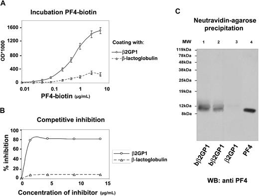 Figure 2. In vitro binding assays in solid phase and in solution. (A) Saturation binding of biotinylated PF4 (biot-PF4) to β2GPI; Immunoplates coated with a constant concentration (10 μg/mL) of recombinant β2GPI or β-lactoglobulin were incubated with various concentrations (0-5 μg/mL) of biot-PF4. After the addition of AP-streptavidin, the OD was measured at 410 nm. Values are the mean ± SD. (B) Homologous inhibition of biot-PF4 binding to β2GPI-immobilized onto microtiter plates, after preincubation with recombinant β2GPI. Preincubated biot-PF4 (1 μg/mL) with increasing concentrations of soluble β2GPI or β-lactoglobulin (0-13.5 μg/mL) for 30 minutes at 37°C was added to immobilized β2GPI onto microtiter plates and incubated overnight at 4°C. After AP-streptavidin and pNPP substrate, OD values were measured at 410 nm and converted to percentage of inhibition. (C) Precipitation with NeutrAvidin-agarose beads and Wester blot analysis with monoclonal anti-PF4 antibody. Biotinylated recombinant β2GPI (biot-β2GPI) and nonbiotinylated β2GPI (β2GPI), used as negative control, were incubated with PF4 in equal molarities (0.1mM and 0.2mM). After incubation, avidin-agarose beads were added to the mixtures, and the resin-bound complexes were eluted with boiling. Eluted proteins were analyzed by SDS-PAGE and were immunoblotted with monoclonal anti-PF4. MW indicates molecular weight marker; lane 1, eluent from biot-β2GPI–PF4–resin sample (0.2mM); lane 2, eluent from biot-β2GPI–PF4–resin sample (0.1mM); lane 3 (negative control), eluent from β2GPI–PF4–resin sample (0.2mM); lane 4, recombinant PF4.