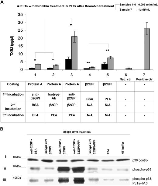 Figure 7. Effects of anti-β2GPI–β2GPI–PF4 complex. (A) Effects of anti-β2GPI–β2GPI–PF4 complex on platelet TXB2 production in the presence or absence of thrombin priming. Washed platelets were either stimulated or not with 0.005 U/mL thrombin and were then exposed to immobilized (1) anti-β2GPI + BSA + PF4, (2) isotype control + β2GPI + PF4, (3) anti-β2GPI + β2GPI + PF4, (4) β2GPI + BSA, and (5) β2GPI + PF4. TXB2 was measured in the supernatants as described in “Measurement of platelet thromboxane B2 metabolite production.” A negative control (no. 6) comprising platelets treated with 0.005 U/mL thrombin alone, as well as a positive control (no. 7) comprising platelets treated with 1 U/mL thrombin alone, were also included. Values are the mean ± SD; n = 7. (B) Effects of anti-β2GPI–β2GPI–PF4 complex on phosphorylation of p38 MAPK. Washed platelets were treated with anti-β2GPI–β2GPI–PF4 or control combinations (see “Methods” for details) and stimulated with 0.005 U/mL thrombin. A positive control comprising platelets treated with 1 U/mL thrombin alone was also included in the experiments. Lysates of the platelets were immunoblotted by using specific antibodies for the unphosphorylated form of p38 MAPK (i) and the phosphorylated form of p38 MAPK (ii). The effect of anti-FcγRII blocking mAb IV.3 is presented (iii).