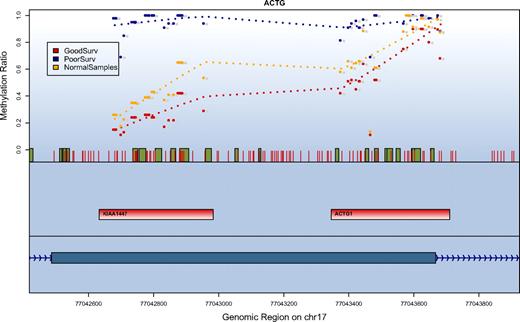 Figure 3. Correlation of survival and methylation levels for chromosome 17q25 gene region. Depicted are the methylation results for a region on chromosome 17q25 with the strongest prediction for patient survival. The top panel shows methylation values in the context of their genomic location. Red vertical bars depict the location of CpG units. Green boxes indicate a conserved transcription factor binding site. For every data series the methylation values in this group are averaged and the mean is displayed for each analyzed CpG unit. Shown are the values for patients who have been classified by the methylation prediction model into a favorable outcome class (red), a poor outcome class (blue), and normal blood samples (orange). The second panel indicates the location of the amplification targets. The third (lowest) panel depicts the gene structure. The methylation ratio values indicate that patients in the good outcome class have methylation levels similar to the normal control samples.