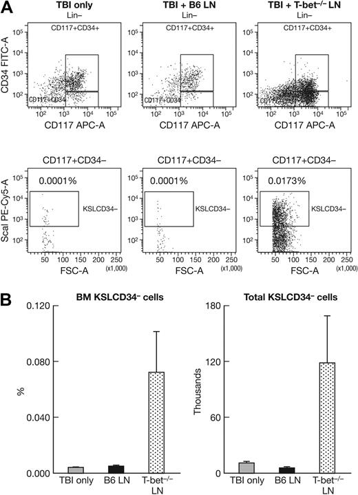 Figure 2. Impaired ability of T-bet−/− LN cells in the destruction of host hematopoietic stem and progenitor cells. BM cells from TBI-only (n = 11), B6 LN (n = 13), and T-bet−/− LN (n = 16) mice were stained and analyzed for the presence of hematopoietic stem and progenitor cells by use of the Lin−Kit+Sca1+CD34− (KSLCD34−) marker combination shown as representative dot plots (A) as well as means with SEs (B). Infusion of B6 LN cells reduced (P < .05) BM hematopoietic cells. As a surprise but consistent observation, infusion of T-bet−/− LN cells markedly increased (P < .01) the hematopoietic stem and progenitor cells in recipient BM.