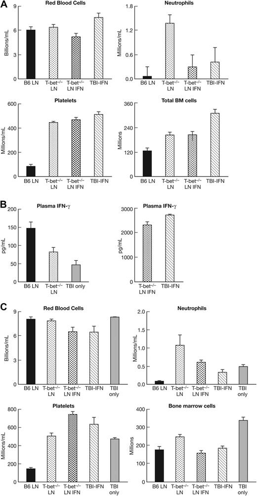 Figure 5. Exogenous IFN-γ failure to rescue T-bet−/− LN-cell functional deficiency. In 2 experiments, we attempted to use exogenous IFN-γ to restore the ability for T-bet−/− LN cells to induce BM failure through intravenous and intraperitoneal injection. Injection of IFN-γ intraperitoneally once per day at 0.2 μg/mouse (6666 pg/g of body weight) from day 1 to day 11 to TBI-treated F1 recipients, with or without the infusion of 5 × 106 T-bet−/− LN cells, reduced recipient neutrophils without showing any effect on red blood cells, platelets, or total BM cells (A). In 2 separate experiments, we infused T-bet−/− LN cells into sublethally irradiated CByB6F1 mice that were each installed with an osmotic pump to provide continuous infusion of IFN-γ as detailed in “Induction of BM failure.” After 12 days, plasma IFN-γ concentrations were drastically greater in mice that received IFN-γ infusion (B). Mice that received T-bet−/− LN cells and continuous IFN-γ infusion had lower levels of WBCs, neutrophils, red blood cells, and BM cells than did mice that had received T-bet−/− LN cells without IFN-γ (C). Data shown are means with SEs for each group: B6 LN (n = 7), T-bet−/− LN (n = 9), T-bet−/− LN IFN-γ (n = 9), TBI-IFN-γ (n = 4), and TBI only (n = 4).