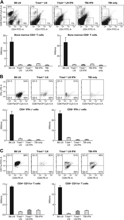Figure 6. Continuous IFN-γ infusion effects on T-cell expansion and activation. CD4 and CD8 T cells in the BM of recipient mice, as described in Figure 5, were measured by flow cytometry, shown as percentages in representative dotplots, and was calculated as total cells per animal, shown as means with SEs (A). Proportion and total number of CD8 T cells that expressed the inflammatory cytokine IFN-γ are also shown as representatives and means with SEs (B). T-cell activation was assessed by CD11a expression, shown in the same fashion (C).