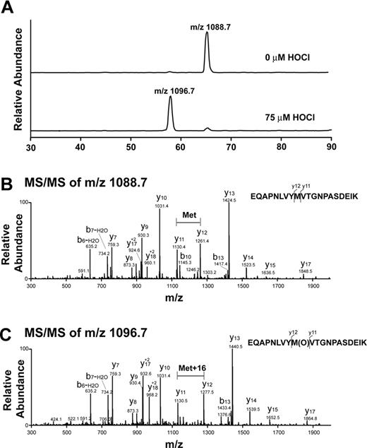 Figure 2. Analysis of oxidative modification of VWF A2 peptide by LC-ESI-MS/MS. (A) Reconstructed ion chromatograms extracted from the mass window corresponding to the expected mass/charge (m/z) ratios of the oxidized and unoxidized tryptic fragments. Note the almost complete disappearance of the m/z = 1088.7 peak with HOCl treatment and appearance of a peak with m/z = 1096.7. The increase in 8 atomic mass units in the doubly charged ion is consistent with the addition of 1 oxygen atom to the peptide. (B) MS/MS spectrum of nonoxidized peptide (m/z = 1088.7, doubly charged ion). (C) MS/MS spectrum of oxidized peptide at 75μM HOCl (m/z 1096.7, doubly charged ion). Note that the methionine residue in the oxidized peptide gained 16 atomic mass units.