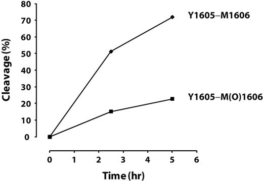 Figure 6. Time-dependent cleavage of oxidized or nonoxidized multimeric plasma VWF by ADAMTS13. The cleavage of the Tyr1605-Met(O)1606 peptide bond in multimeric VWF by ADAMTS13 was markedly inhibited compared with the cleavage of Tyr1605-Met1606.