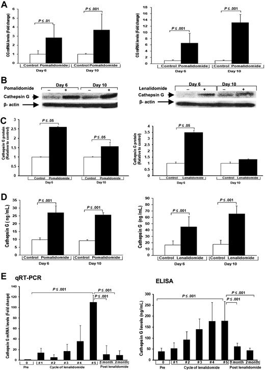 Figure 5. IMiDs up-regulate the platelet aggregation agonist CG released by promyelocytes. Purified CD34+ cells were cultured with pomalidomide, lenalidomide, or DMSO (control) for different time periods. (A) Quantitative RT-PCR of CD34+ cells. Results are shown as mRNA fold increase by pomalidomide or lenalidomide, compared with control (DMSO). mRNA levels were normalized with β-actin. (B) CG protein expression of CD34+ cells. β-Actin was used as loading control. (C) Densitometric analyses of immunoreactive bands for the protein levels of CG. (D) CG levels of supernatants of cultured CD34+ cells. Results are shown as mean ± SD of CG (ng/mL). (E) White blood cells and plasma from peripheral blood of 14 patients before lenalidomide treatment, during each cycle, and 1 and 2 months after discontinuation of lenalidomide were obtained. (Left panel) Quantitative RT-PCR of white blood cells of patients. CG mRNA fold induction by lenalidomide was compared with baseline (pretreatment). Results are shown as mean CG mRNA fold increase by lenalidomide compared with baseline (pretreatment). The level of mRNA was normalized to GAPDH. Results are shown as mean ± SD. (Right panel) Results of ELISA of plasma of patients are shown as mean ± SD of CG ng/mL.