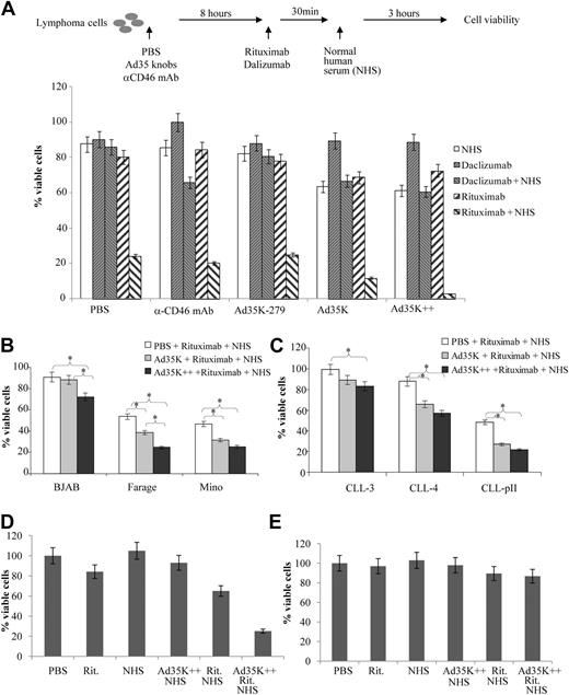 Figure 2. Ad35K++-sensitized cytolysis of lymphoma cells in vitro. (A top) Scheme of the experiment with Raji cells. Raji cells were incubated with anti-CD46 mAb, Ad35K-279, Ad35K, or Ad35K++. Eight hours later, daclizumab or rituximab were added to cells and incubated at room temperature. After 30 minutes, NHS was added, and viable cells were counted 3 hours later based on trypan blue exclusion. (Bottom) Percentage of viable cells compared with PBS-treated cells. Shown are the mean values and standard deviations; n > 6. (B-C) Studies with other lymphoma cell lines (B) or primary cells from patients with B-CLL (C). The experimental conditions were as described in panel A. Significant differences (P < .05) are marked by an asterisk. (D) Studies with normal human PBMCs. Human PBMCs (pooled from 3 healthy donors) were sorted for CD20+ cells with the use of fluorescence-activated cell sorting. CD20+ cells were cultured for 3 days. A total of 105 cells were treated with Ad35K++ (25 μg/mL), followed by rituximab (15 μg/mL) and NHS (25% final concentration) 8 hours later. Four hours after adding NHS, viable cells were counted based on trypan blue exclusion. Cell viability of PBS-treated cells was taken as 100%. There was no change in cell viability for cells incubated with Ad35K++, rituximab, or NHS alone. (E) Human PBMCs were cultured for 3 days and treated as described in panel D. Shown are the mean values and standard deviations; n = 5.