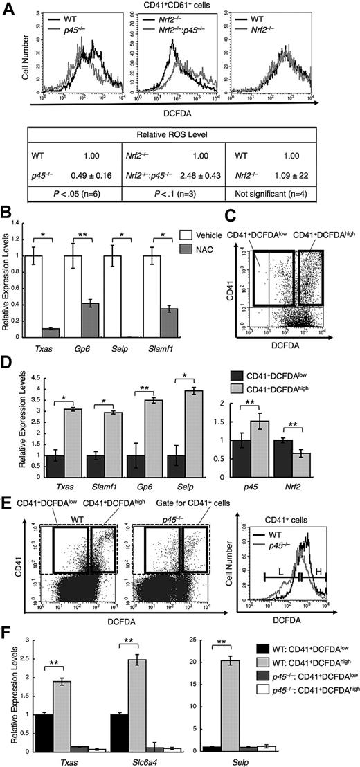 Figure 3. p45 promotes ROS accumulation and increased ROS enhances platelet gene activation. (A) Flow cytometric analysis of intracellular ROS levels in primary megakaryocytes from p45-null and WT livers (top left panel), Nrf2−/− and Nrf2−/−:p45−/− fetal livers (top middle panel), and Nrf2-null and WT livers (top right panel). The intensities of DCFDA in the CD41+CD61+ cells are displayed in histograms. Average ROS levels obtained from the histograms of p45-null, Nrf2−/−:p45−/−, and Nrf2-null cells were changed to relative values against those from the WT, Nrf2-null, and WT cells, respectively (bottom panel). Average values are shown with SD. Statistical significance of the relative ROS levels was calculated using paired t test. (B) Quantitative RT-PCR of platelet genes in primary megakaryocytes after supplementation with 10mM NAC for scavenging ROS. The relative values were calculated against the values of the vehicle-treated samples. (C) Primary megakaryocytes were fractionated into either DCFDA high or DCFDA low populations according to the fluoroprobe intensity in flow cytometry. The gates are depicted in bold rectangles. (D) Quantitative RT-PCR of platelet genes (left panel) and of p45 and Nrf2 (right panel). The CD41+DCFDAhigh and CD41+DCFDAlow populations were compared. The relative values were calculated against the values of the CD41+DCFDAlow fraction. (E) Primary megakaryocytes cultured from p45-null and WT fetal livers were fractionated as in panel C. The intensities of DCFDA of CD41+ cells contained in the gate indicated with broken lines in the left panel are displayed in histograms (right panel). L and H in the right panel correspond to the gates depicted in bold rectangles in the left panel. (F) Quantitative RT-PCR of platelet genes. The CD41+DCFDAhigh and CD41+DCFDAlow populations from p45-null and WT fetal livers were compared. The relative values were calculated against the values of the CD41+DCFDAlow fraction of WT cells. The average values of triplicate experiments are presented, and the error bars represent SD (B,D,F). The Student t test was used to calculate statistical significance. *P < .001 (B,D). **P < .05 (B,D). **P < .005 (F).