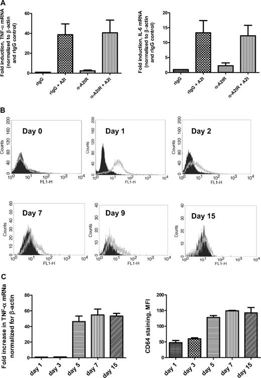 Figure 1. Blocking antibody for A2tR fails to reduce A2t-dependent cytokine induction in human macrophages. (A) Seven-day-old macrophages were pretreated with either anti-A2tR–blocking antibody or rabbit polyclonal isotype control (10 μg/mL for 20 minutes at room temperature), followed by treatment with 2nM A2t for 1 hour at 37°C. RNA was isolated and reverse transcribed, and levels of the indicated species were analyzed by real-time polymerase chain reaction. (B) Monocytes were plated and aliquots were stained for A2tR expression at indicated times throughout macrophage differentiation. Histograms shown are representative of 4 donors. Black (filled) histograms = rabbit IgG isotype control, gray (open) = anti-A2tR–blocking antibody (both used at 1 μg/mL, then stained with 1:200 Alexa 488 donkey anti–rabbit). (C) Monocytes/macrophages were treated with 5nM A2t for 1 hour at 37°C at the indicated times (days after plating) during differentiation. mRNA levels were analyzed as in (B). Macrophages from the same donors were stained with goat anti–human CD64 antibody, followed by Alexa 488 donkey anti–goat secondary (values for isotype controls subtracted) at the same times to monitor macrophage differentiation. Results (A,C) are the mean ± SEM of 3 experiments with separate donors.