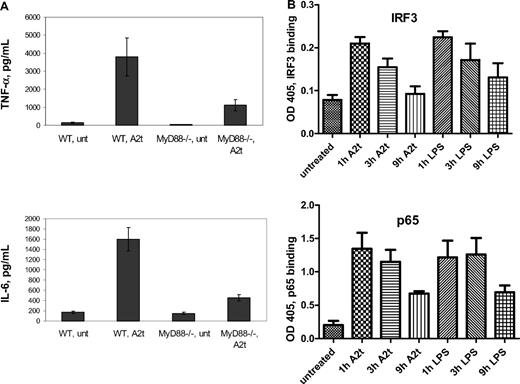 Figure 3. Macrophage activation in response to A2t involves both MyD88 and TRIF. (A) WT or MyD88−/− 7-day-old murine BMDM were treated with 5nM A2t for 24 hours, and levels of the indicated cytokines (in pg/mL) were measured in the supernatants by luminex. Macrophages were pooled from 4 males per genotype in each of 2 separate experiments run in duplicate. Results expressed as the mean ± SEM. (B) Nuclear extracts of 7-day-old human MDM treated with either LPS (2 ng/mL) or A2t (5nM) were tested for p65 or IRF3 activity by binding of plated DNA oligos bearing the specific NF-κB or IRF3 consensus site, followed by colorimetric detection of p65 or IRF3 by horseradish peroxidase–linked antibody.