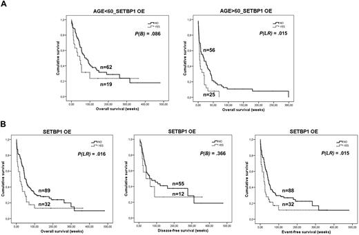 Figure 6. SETBP1 overexpression and cumulative survival in AML. (A) Kaplan-Meier analyses of OS for SETBP1 in the series of age-stratified 168 patients with AML, and clinical follow-up data available. Patients older than 60 years with SETBP1 overexpression showed a poorer outcome compared with patients with no SETBP1 overexpression. (B) Kaplan-Meier analyses of OS, DFS, and EFS for SETBP1 overexpression in a series of 121 patients with AML and clinical follow-up data available who received induction therapy (note that this group of 121 patients is included in the previous series of 168 patients in panel A).