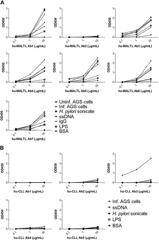 Figure 5. Recombinant human MALT lymphoma–derived antibodies are polyreactive. Three concentrations (0.1, 1, and 10 μg/mL) of 7 recombinant human MALT lymphoma antibodies (A) and 5 recombinant human CLL antibodies (B) were tested by ELISA for reactivity with the antigens indicated in the legends. All MALT lymphoma antibodies, with the exception of Ab2, but none of the CLL antibodies, exhibit a polyreactive binding pattern.