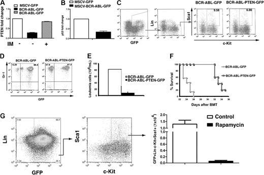 Figure 4. Pten suppresses leukemia stem cells. (A) BCR-ABL down-regulates Pten expression, and this down-regulation is abolished upon imatinib treatment. Bone marrow cells were transduced with GFP or BCR-ABL-GFP retrovirus, followed by transplantation into recipient mice. Some recipients of BCR-ABL-GFP–transduced bone marrow cells were treated with imatinib (100 mg/kg, twice a day by gavage), beginning at day 8 after BMT. At 24 hours later, GFP+Lin−c-Kit+Sca1+ cells in bone marrow were sorted from these mice by FACS, and total RNA was isolated for DNA microarray assay. (B) DNA microarray assay shows that the mRNA level of p53 was down-regulated by BCR-ABL in LSCs. (C) Bone marrow cells were isolated from mice with CML induced with BCR-ABL-GFP or BCR-ABL-PTEN-GFP. The percentage of GFP+Lin−c-Kit+Sca1+ cells in bone marrow was analyzed by FACS. (D) At day 20 after BMT, the percentages of GFP+Gr1+ leukemia cells in peripheral blood of recipients of bone marrow cells transduced with BCR-ABL-GFP or BCR-ABL-PTEN-GFP were analyzed by FACS. (E) Total numbers of leukemia cells in peripheral blood of recipients of bone marrow cells transduced with BCR-ABL-GFP or BCR-ABL-PTEN-GFP were analyzed by FACS. (F) Pten overexpression reduces the ability of leukemia stem cells to induce CML. Bone marrow cells from mice with CML induced with BCR-ABL-GFP or BCR-ABL-PTEN-GFP were sorted by lineage-depletion MACS columns (Miltenyi Biotec), followed by FACS analysis for the percentages of c-Kit+Sca1+ cells. After normalization, the same number (3 × 104) of GFP+Lin−c-Kit+Sca1+ cells from each group was transferred into recipient mice (BCR-ABL-GFP, n = 7; BCR-ABL-PTEN-GFP, n = 5) to induce CML. (G) Rapamycin inhibits leukemia stem cells from CML mice in vitro. Bone marrow cells isolated from mice with CML induced by BCR-ABL-GFP were cultured (2 × 106 cells/6-cm plate) under the stem cell conditions (see “Methods”) in the presence of DMSO or rapamycin (10μM) for 3 days, followed by FACS analysis of leukemia stem cells (GFP+Lin−c-Kit+Sca1+).