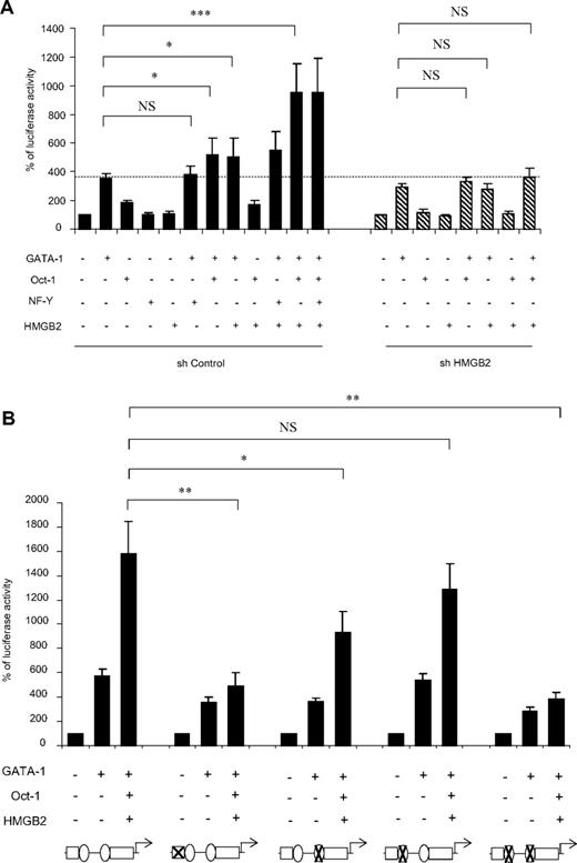 Figure 2. HMGB2 stimulates GFI1B promoter activity through GATA-1 and Oct-1 binding to the GFI1B promoter in vitro. (A) Effects of HMGB2 on GFI1B promoter activity. Gfi-1B luciferase reporter construct was transfected into HeLa cells together with GATA-1, Oct-1, NF-Y, or HMGB2 expression vectors. Thirty hours after transfection, luciferase activity was evaluated. Individual transfection was normalized by measurement of Renilla luciferase activity (pRL-TK; Promega) and pGL2-luciferase activity. Experiments were performed with shControl-transduced (shControl) or shHMGB2-transduced (shHMGB2) cells. Results are means ± SD of 4 independent experiments; *P < .05 and ***P < .001. (B) Effects of mutations at GATA or Oct-1–putative binding sites at the GFI1B promoter. The construct bearing the GFI1B promoter sequence was mutated at the putative GATA-binding (site 1) or Oct-1–binding (sites 1 and 2) sites (mutations were indicated at the bottom of the figure by a cross on the schematic representation of the GFI1B promoter). Wild-type or mutated reporter constructs were transfected into HeLa cells together with GATA-1 alone or with GATA-1, Oct-1, and HMGB2 expression vectors. Luciferase activity was measured 30 hours after transfection. Results are means ± SD of 4 independent experiments; *P < .02 and **P < .003.