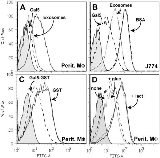 Figure 7. Galectin-5 modulates exosome uptake by macrophages. PKH67-labeled exosomes (60 μg protein/mL) were incubated with macrophages for 3 hours at 37°C. After washing, cell fluorescence intensity was measured by flow cytometry. Tinted patterns always indicate cell autofluorescence. Data obtained after incubation of PKH67-labeled exosomes alone with macrophages are represented by a solid black line. PKH67-labeled exosomes were incubated with peritoneal (A) or J774 (B) macrophages in the presence of purified Gal-5 (50μM; dashed line), unlabeled exosomes (300 μg protein/mL; dotted line), or BSA (50μM; dashed line). (C) PKH67-labeled exosomes were incubated with peritoneal macrophages in the presence of GST–Gal-5 (50μM; dashed line) or GST (50μM; dotted line). (D) PKH67-labeled exosomes and GST–Gal-5 (50μM) were incubated with peritoneal macrophages after preincubation (1 hour, RT) of GST–Gal-5 in 150 mM lactose (dotted line) or glucose (gray solid line) or medium alone (dashed line).